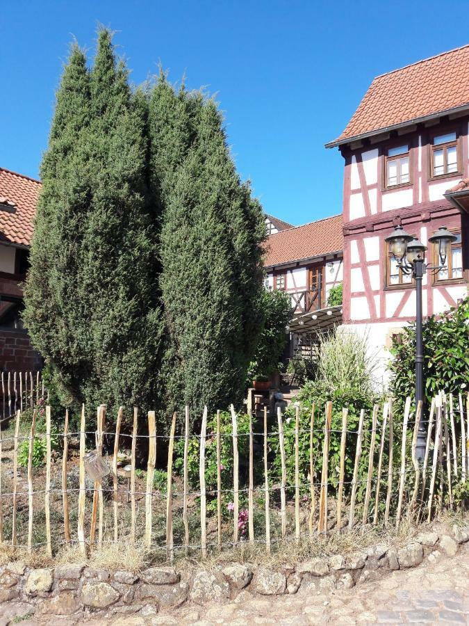 Diebacher Hof Büdingen المظهر الخارجي الصورة